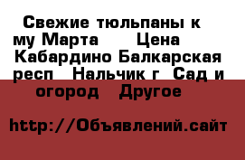 Свежие тюльпаны к 8 му Марта!!! › Цена ­ 45 - Кабардино-Балкарская респ., Нальчик г. Сад и огород » Другое   